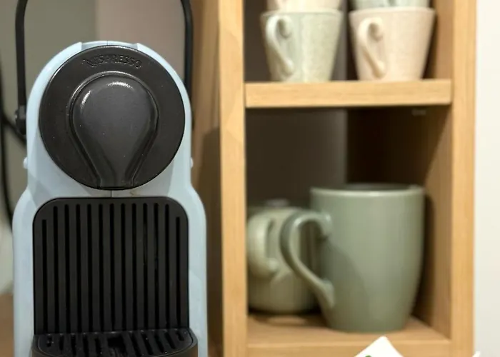 Le Cocon Du Roi Jerome - Hypercentre *